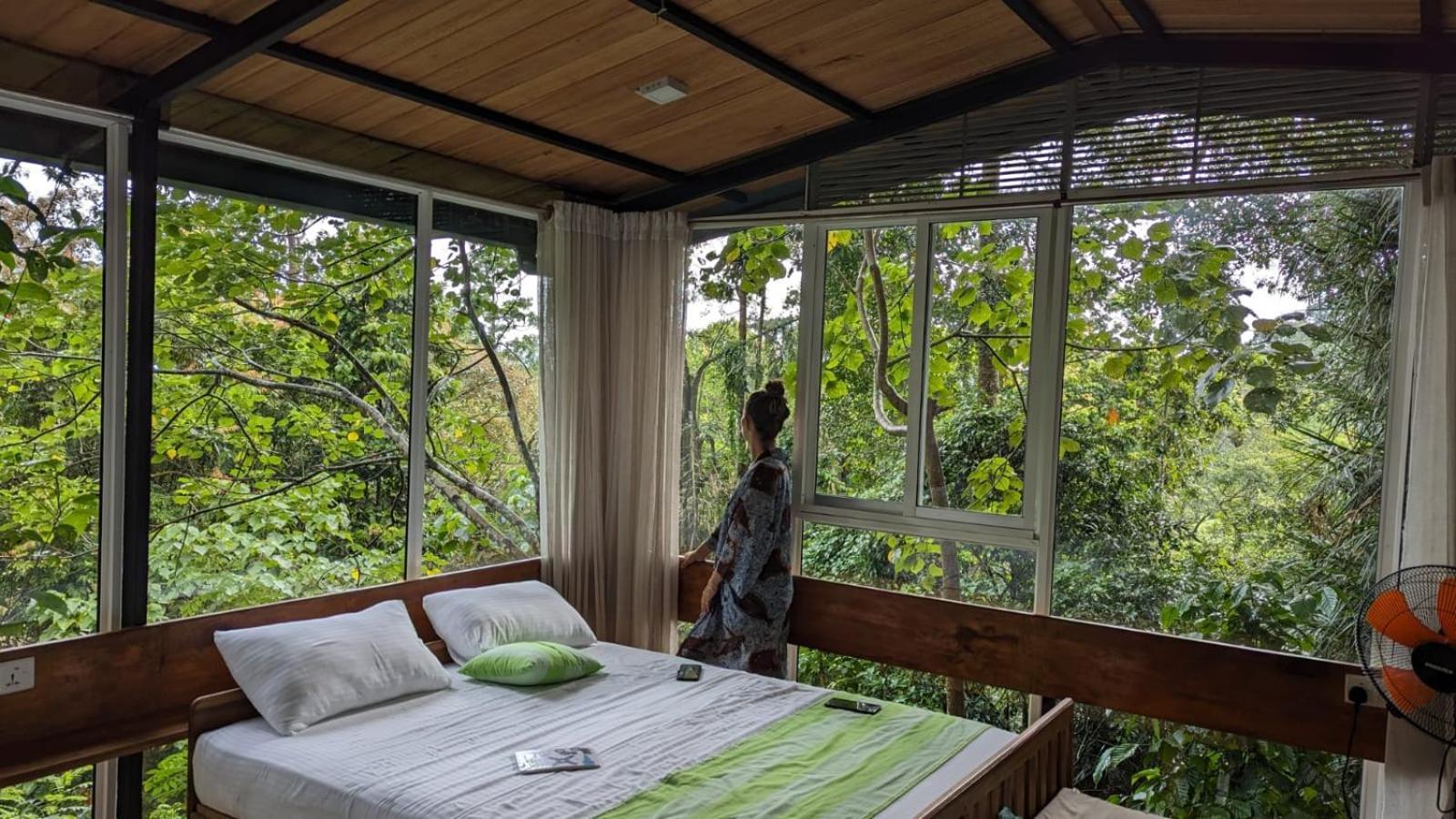 Sinharaja Kurulu Ella Eco Resort Deniyaya Kültér fotó